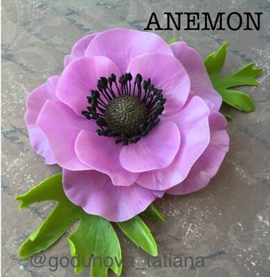 Anemon kesici ve damarlama seti