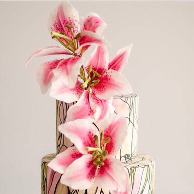 Casablanca Lilyum kesici ve damarlama seti