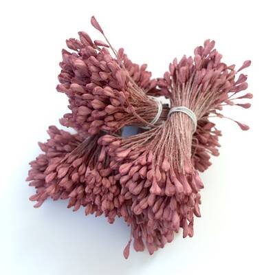 Çiçek tohumu 2 mm Claret