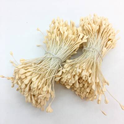 Çiçek tohumu 2 mm Ivory