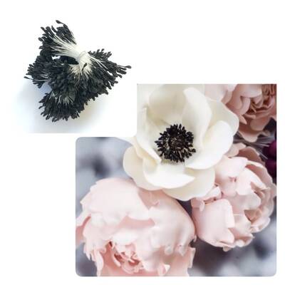 Çiçek tohumu 2 mm Navy