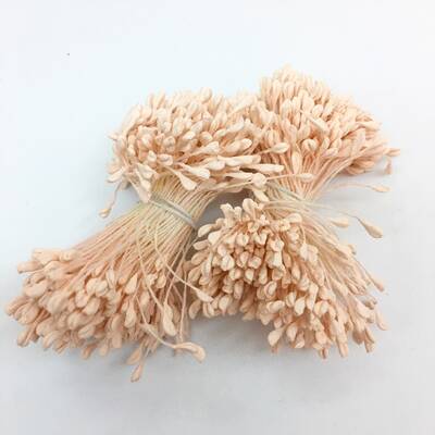 Çiçek tohumu 2 mm Pudra