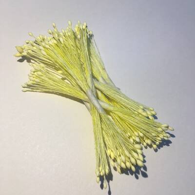 Çiçek tohumu micro SARI