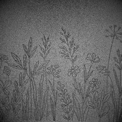 Doku transfer matı Botanical Borders-4; 33x22 cm