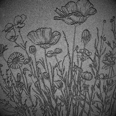 Paku Malzeme - Doku transfer matı Botanical Borders-4; 33x22 cm (1)