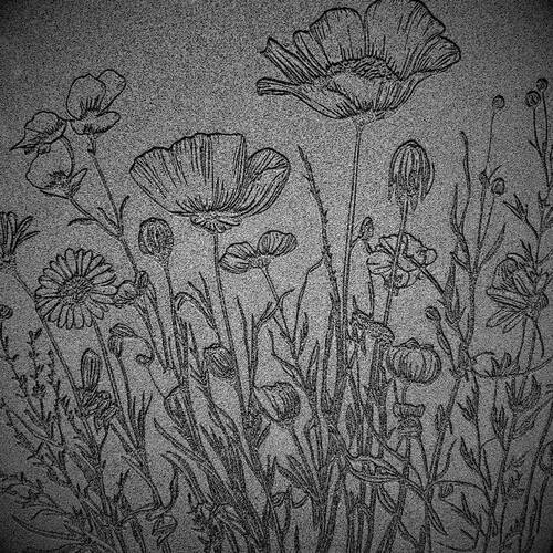 Doku transfer matı Botanical Borders-4; 33x22 cm