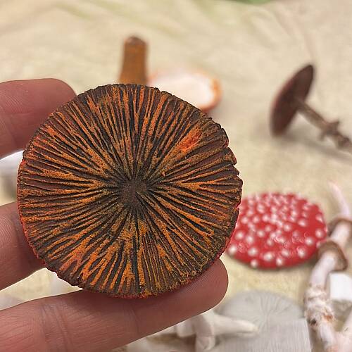 Doku transfer matı Mushroom Spores;15x15 cm - 3