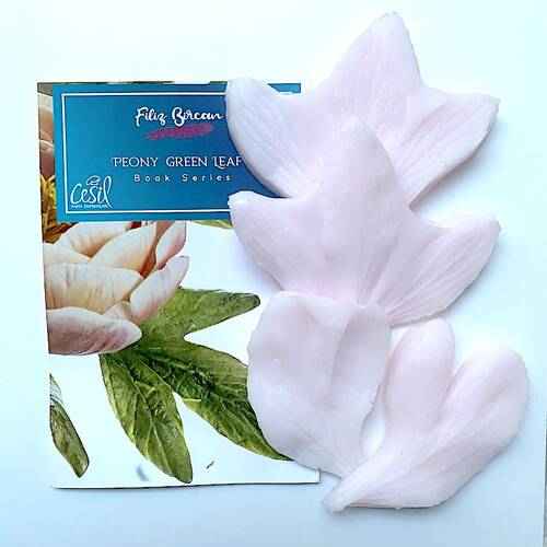 Filiz Bircan Şakayık Yeşil Yaprak damarlayıcı