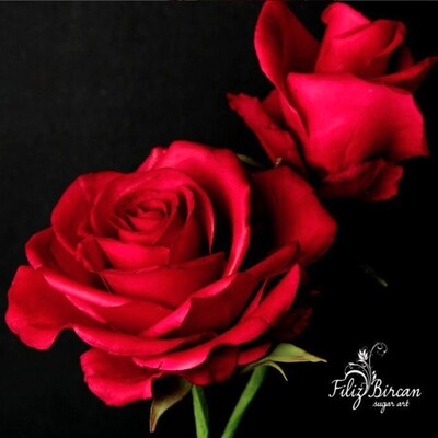 Cesil - Filiz Bircan Gül damarlayıcı silikon (1)