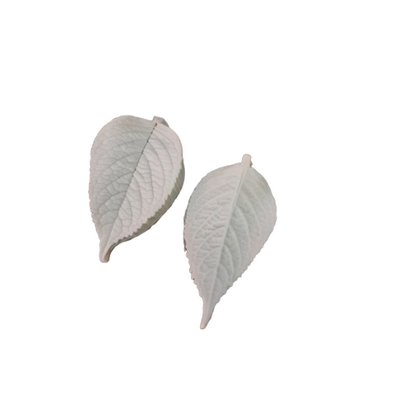 Cesil - Gül Küçük Yeşil Yaprak damarlayıcı silikon seti; 2 parça ( 60x35 mm)