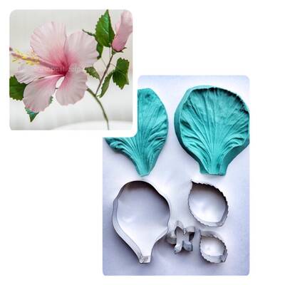 Hibiscus kesici ve damarlama seti