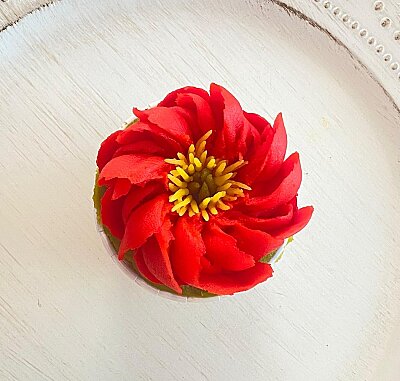Krema sıkma plastik duy no 1062 ( 20 mm ağız çapı ) (1)