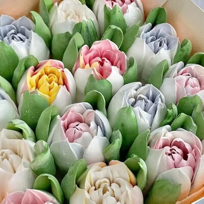 Paku Malzeme - Krema sıkma plastik duy seti ZEFİR Marshmallow XL Rus Duyu; 17 parça (45mm) (1)