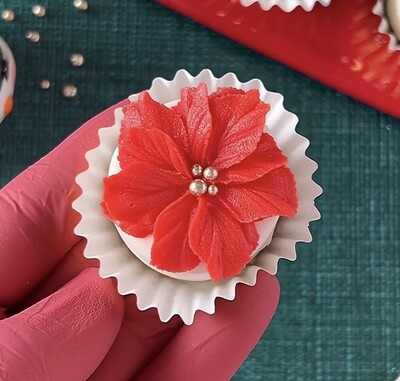 Krema sıkma duy ucu no:103 (1)