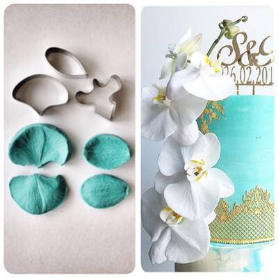 Moth Orkide kesici ve damarlama seti