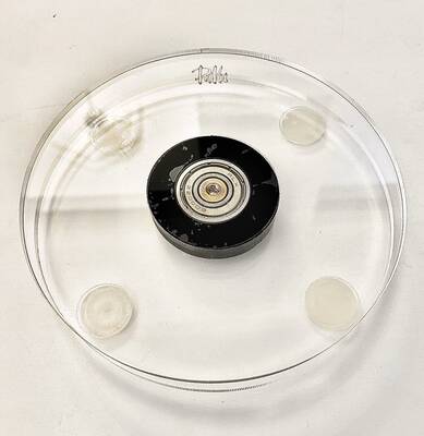 PAKU Kukifelek ( cookie turntable )