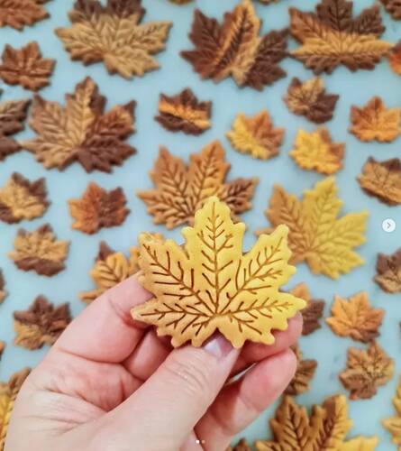 Plastik kesici kalıp ve baskı seti MAPLE LEAF