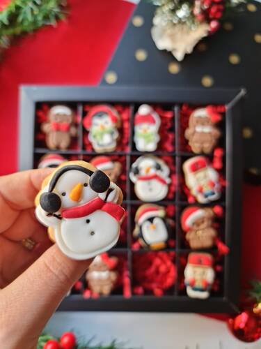 Plastik kesici kalıp ve baskı seti SNOWMAN-2