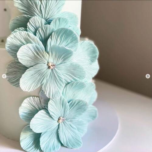 Şakayık damarlayıcı büyük boy; 98x82 mm