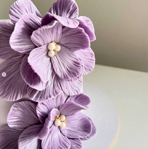 Şakayık damarlayıcı büyük boy; 98x82 mm