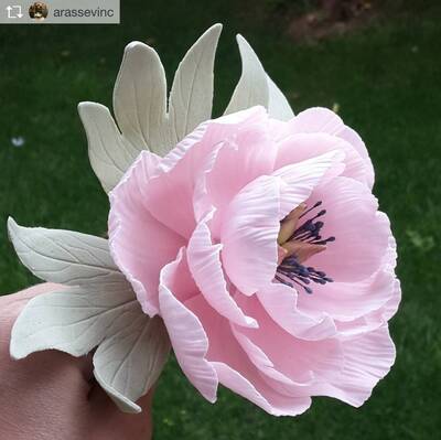 Şakayık damarlayıcı