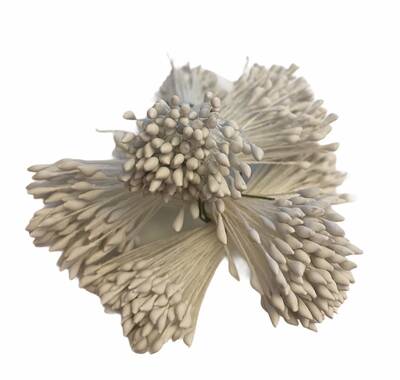 Şakayık tohumu Beyaz