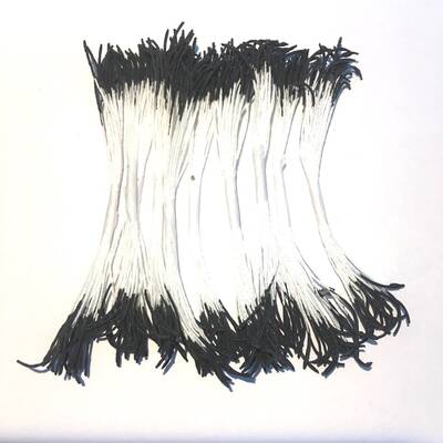 Şakayık tohumu micro SİYAH