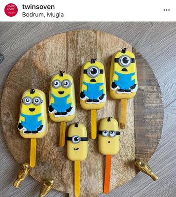 Silicone mold Cakesicle; 21,5*12,5 cm