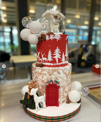 Paku Malzeme - Stencil Winterland-2; 40*20 cm (1)